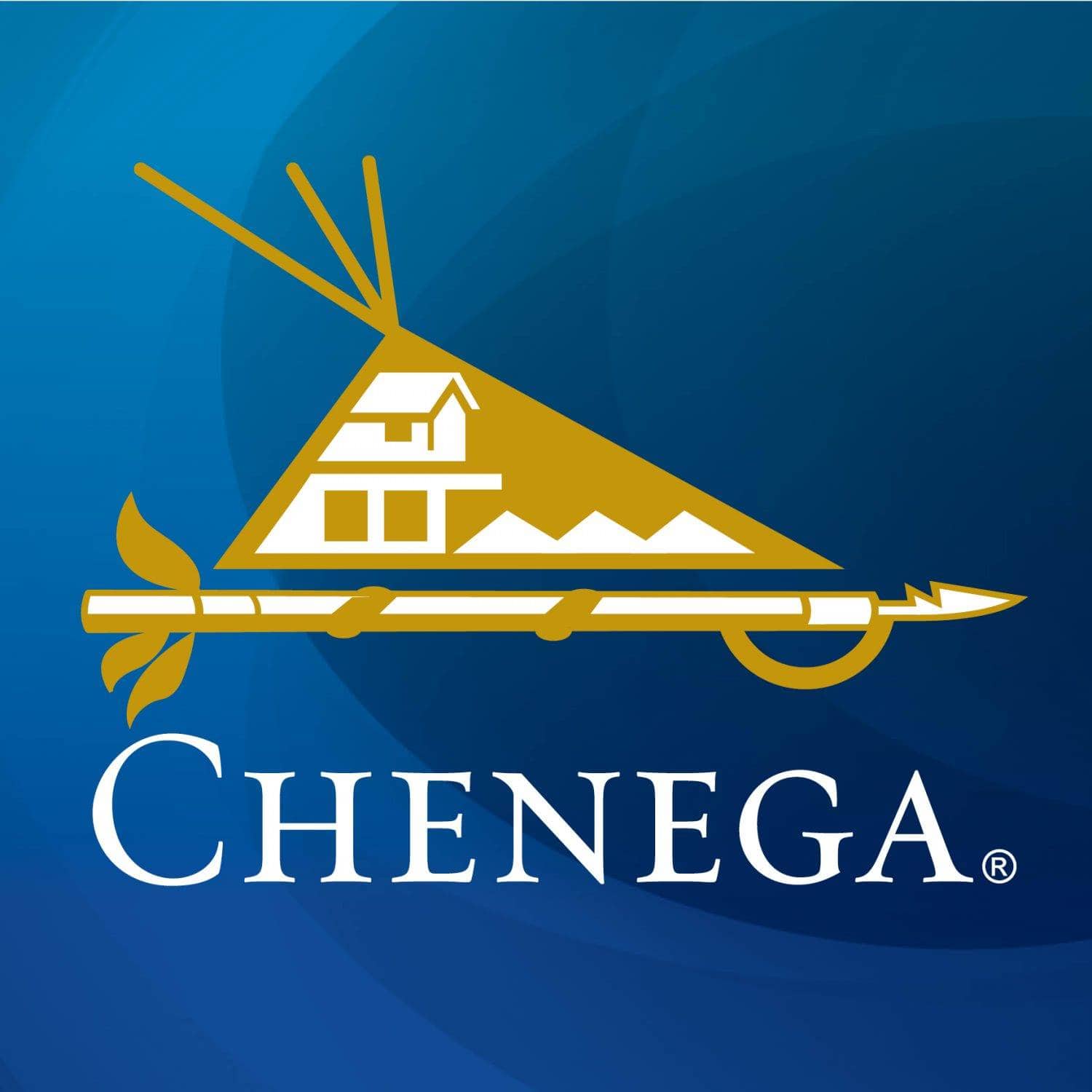 Chenega social media logo