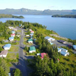Arial image of houses with lake and mountains in background